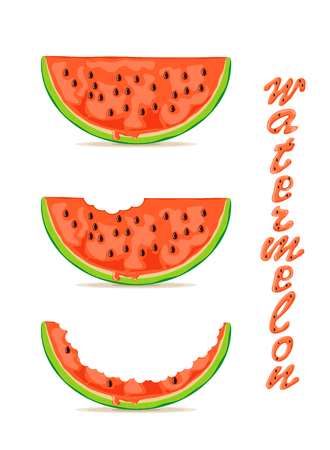 Juicy watermelon slices isolated on white background, illustration.のイラスト素材