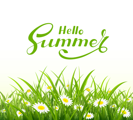 Lettering Hello Summer with grass and flowers on white background, illustration.のイラスト素材