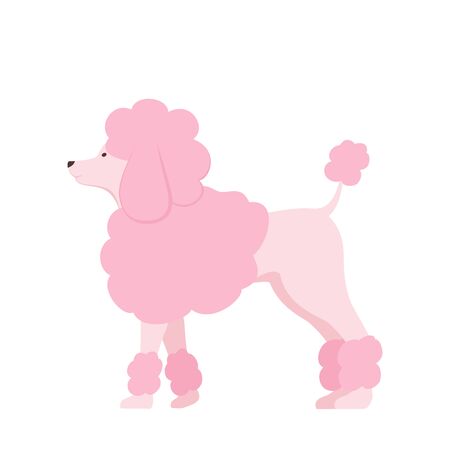 Pink poodle isolated on white background. Cute dog cartoon character. Childish vector illustration with pet can be used for holiday cards, children's clothing design, invitations, banners, animal shopのイラスト素材