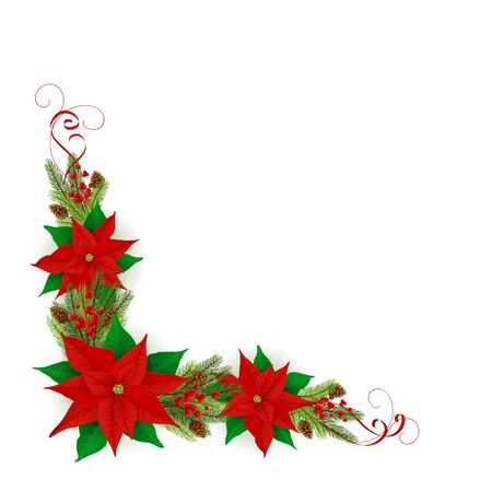 Decorations at the corner with fir tree branches and Christmas red poinsettia flowers isolated on white background. Illustration can be used for holiday design, cards, invitations, postcard and bannerのイラスト素材