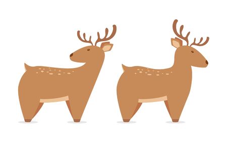 Set of cute deer isolated on white background. Illustration with two funny wild animals can be used for holiday design, cards, children's clothing or things design, banners, animal shop.のイラスト素材