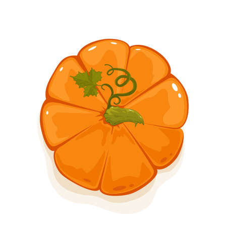 Ripe pumpkin top view isolated on white background. Cartoon elements for holiday design. Icons for Halloween or Thanksgiving Day. Illustration can be used for holiday backgrounds, cards, banners.のイラスト素材