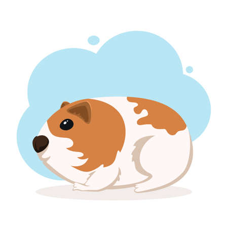 Cute Guinea Pig on white background. Smiling cute animal. Cartoon illustration with little pet can be used for paper, cover, cards, posters, banners, clothing design and other users.のイラスト素材