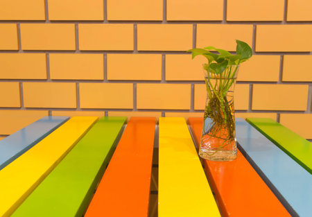 Tree vases and colorful backgroundの写真素材