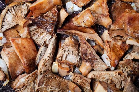 Fried mushrooms in a pan, macro, backgroundの写真素材