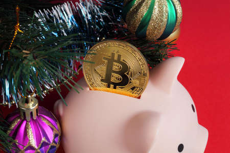 piggy bank with gold bitcoin under a christmas tree decorated with christmas balls and tinsel on a red background, close-upの写真素材