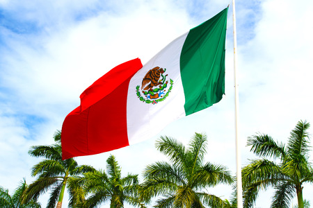 Mexico flag on a background of palm trees and blue sky.の写真素材