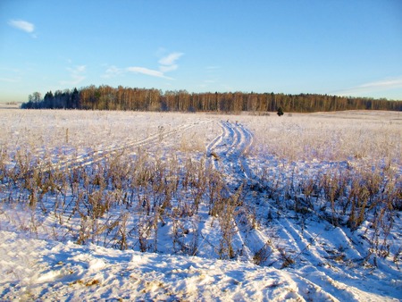 Winter road in the early sunny morning in the suburbs.の写真素材