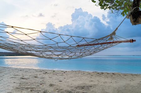 Empty hammock between palms trees at sandy beachの写真素材