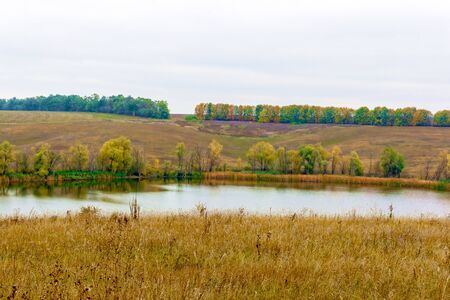 Wet meadow with dry grasses, horizon and blue sky - view on a suの写真素材