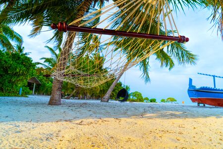 Empty hammock between palms trees at sandy beachの写真素材