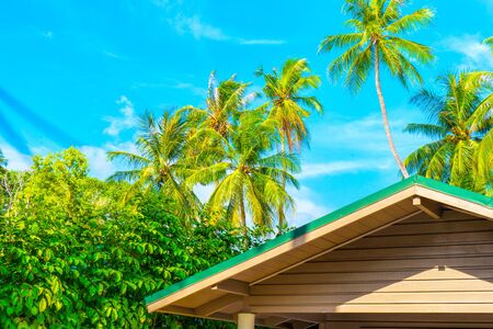 Tropical bungalow on the amazing beach with a palm treeの写真素材