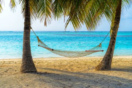 Maldives. Paradise on earth.Empty hammock between palms trees at sandy beach. View of nice tropical beach with palms around. Holiday and vacation conceptの写真素材