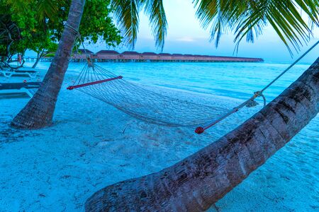 Empty hammock between palms trees at sandy beachの写真素材
