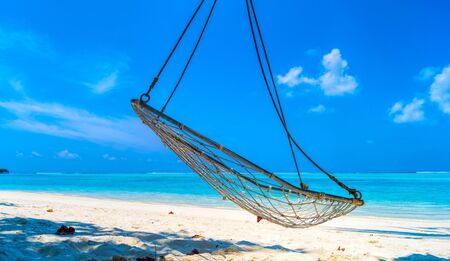 Empty hammock between palms trees at sandy beachの写真素材