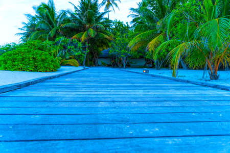 Wooden bridges leading to the huts on the shores of the tropical, warm sea. Maldives. Tourism...