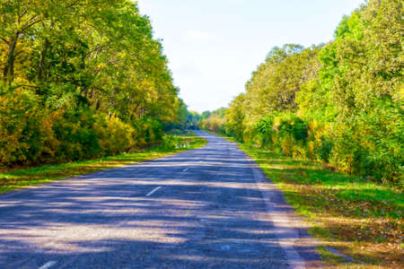 Summer Country Road With Trees Beside Conceptの写真素材