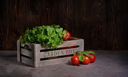 Fresh basil leaves with tomatoes in a wooden box on the stone backgroundの写真素材