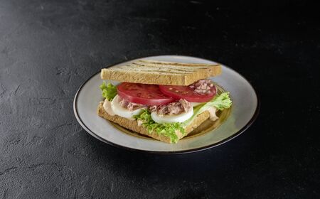Testy tuna sandwich on black backgroundの写真素材