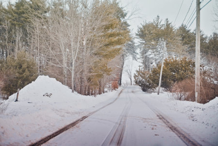Snow-covered road in the winter forest on a cloudy day.の写真素材