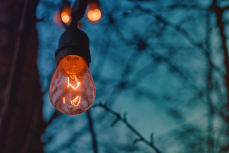 Vintage light bulb on the background of the night forest. Retro style.の写真素材