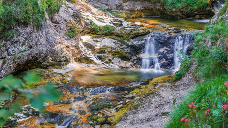 A delicate, tiny waterfall cascades over mossy rocks in a lush forest, trickling gently into a clear, shallow pool.の写真素材