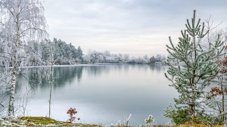Winter landscape with frozen lake and snow covered trees in the city parkの写真素材