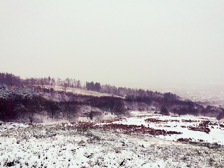 Sunday walk on a cold winters dayの素材