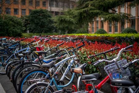 Tongji Universityのeditorial素材