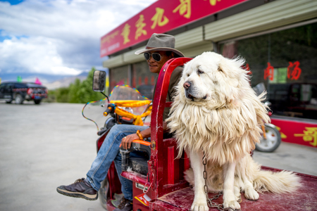 Tibet with the shootのeditorial素材