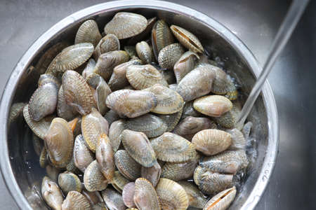 Selective focus clams cleaning in blow with clean water before being used as a food ingredient