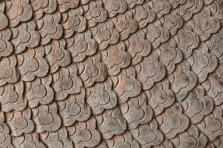 The wood carvings are old and dirty but beautifulの写真素材