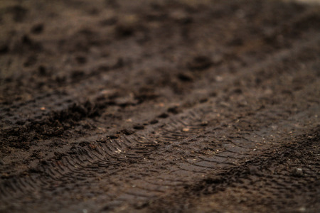 bike tyre marks in mudの写真素材