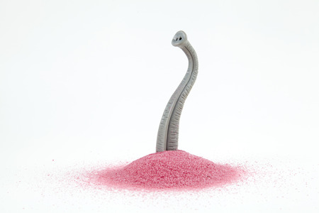 An elephant trunk emerging from a pile of pink sand as if he were hiding. Minimal, funny and quirky design still life photographyの写真素材