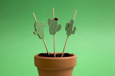 Cactus toothpick planted in a pot like a real. Green on green. Minimal color still life photographyの写真素材