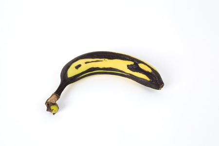 A yellow banana which black spots have been hand-drawn  with a black indelible pen to simulate a overripe bananaの写真素材