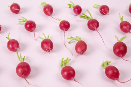 Radishes on a pink background. harmony of colors between pink and red.minimal and vibrant color still life photographyの写真素材