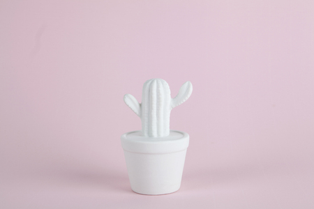 a white cactus ceramic with pompon on a colorful background. Minimal color still life photographyの写真素材