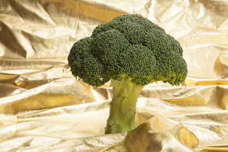 a broccoli tree in a gold fabric choppy waters. Luxury composition, metaphor of money and nuclear. Minimal color still life photography.の写真素材
