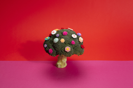 a diversion of a standing broccoli covered with numerous plastic flowers isolated on a vibrant pink and red background. Humorous metaphor of a bouquet of flowers. Minimal color still life photographyの写真素材