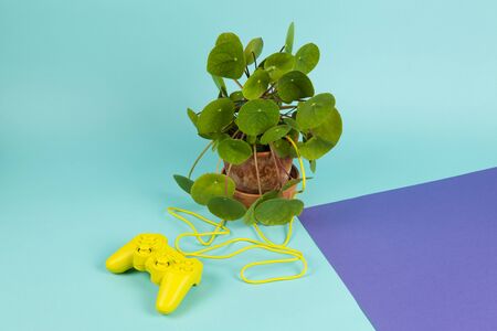 Metaphor of man wanting to control nature. A joystick yellow connected to a plant pilea peperomioid...