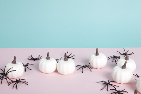 mini pumpkins surrounded by an infestation of spiders on a pink background against a horizon of blue sky. space left blank for text. Minimalist, trendy still life photography.の写真素材