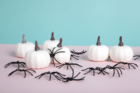 mini pumpkins surrounded by an infestation of spiders on a pink background against a horizon of blue sky. space left blank for text. Minimalist, trendy still life photography.の写真素材