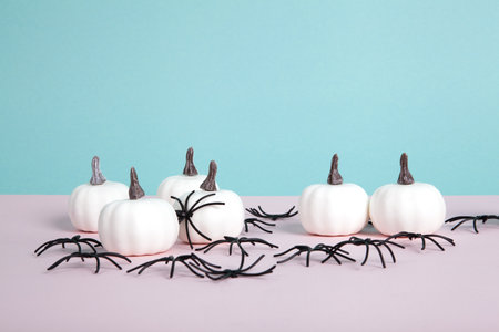 mini pumpkins surrounded by an infestation of spiders on a pink background against a horizon of blue sky. space left blank for text. Minimalist, trendy still life photography.の写真素材