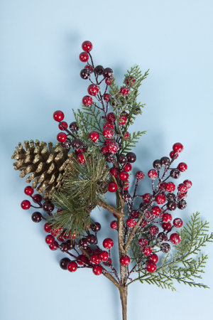 a holly branch with its berries and a golden pine cone set against a plain pastel blue background. Minimalist, trendy still life photography.の写真素材