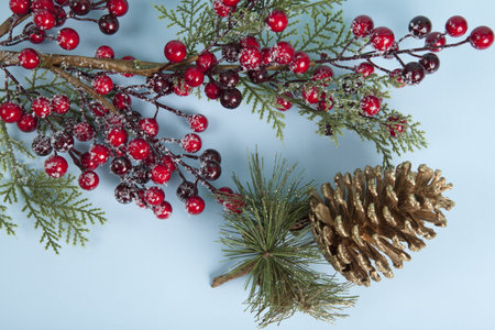 a holly branch with its berries and a golden pine cone set against a plain pastel blue background. Minimalist, trendy still life photography.の写真素材