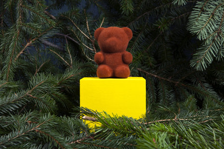 A beautiful teddy bear on a yellow wooden block among fir branches.の写真素材