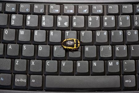 Laptop keyboard with black and yellow bug