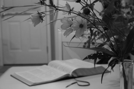 An open book is seen through a vase of sunflowers.の写真素材