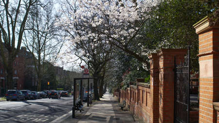 London, UK, March, 20, 2020: Street with red fence. London coronavirus lockdown